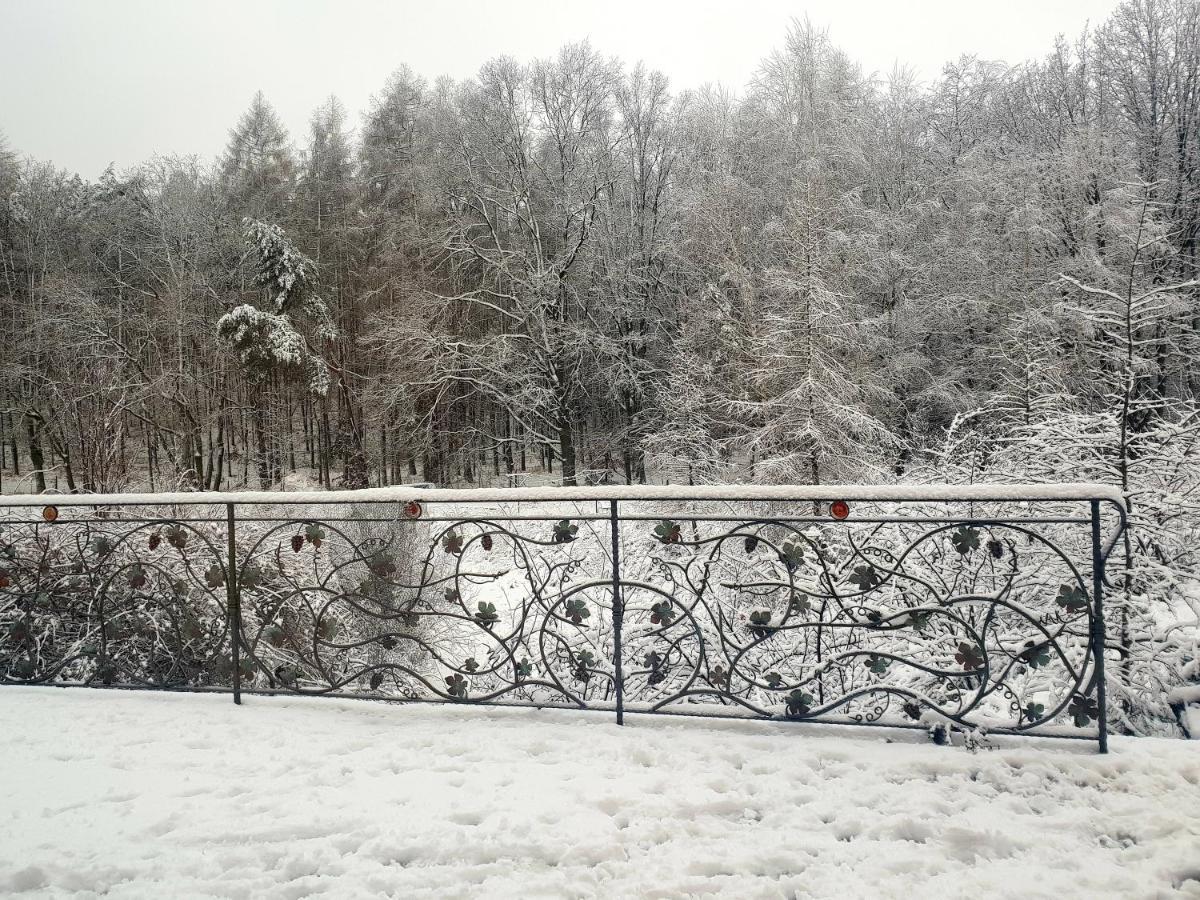 Winnica Debogora Dobiegniew Exterior foto
